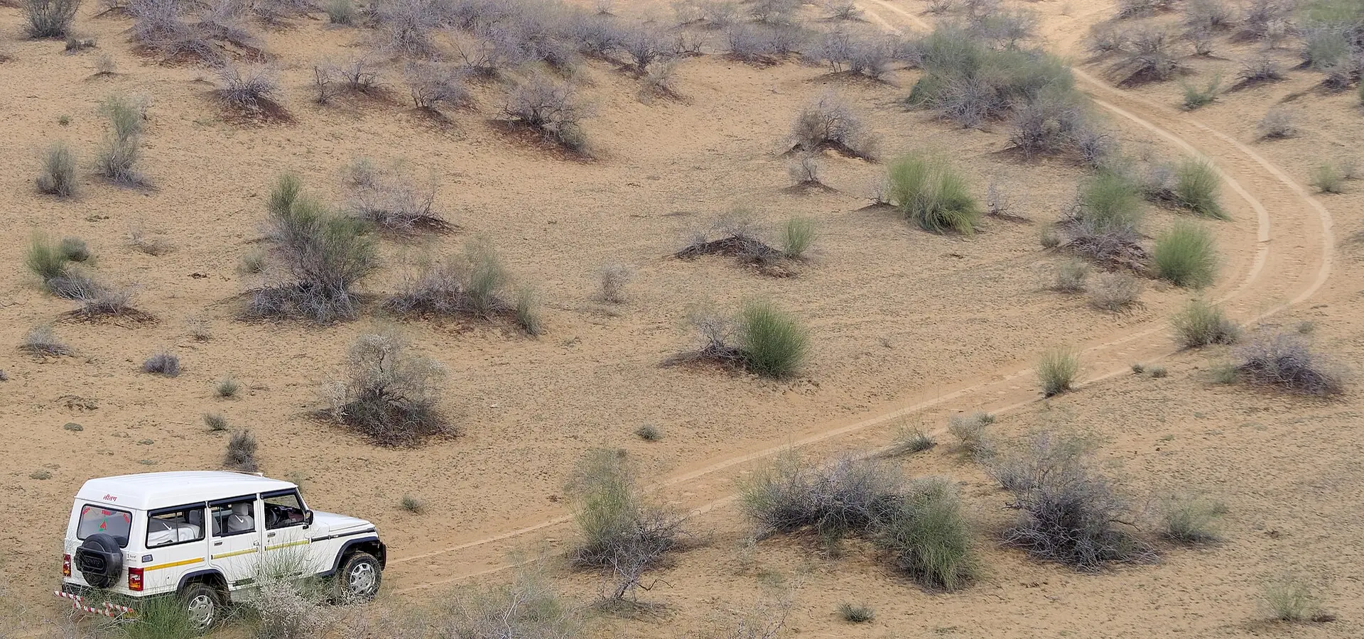 Jeep on a desert track near Bikaner